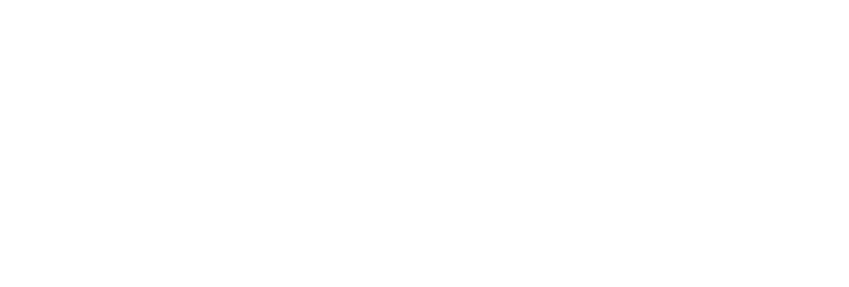 VIII CONGRESSO BRASILEIRO DE ENFERMAGEM PEDIÁTRICA E NEONATAL 2019